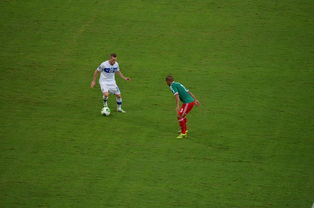 中国足球对抗频次与伤病风险相关性，足球 对抗