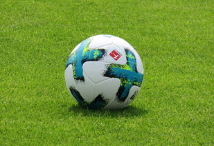 德甲防守战术转变对定位球防守效果的影响分析，德国足球防守大师